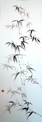 Bambou gracile